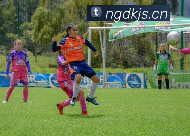 星空官方网页版全站App